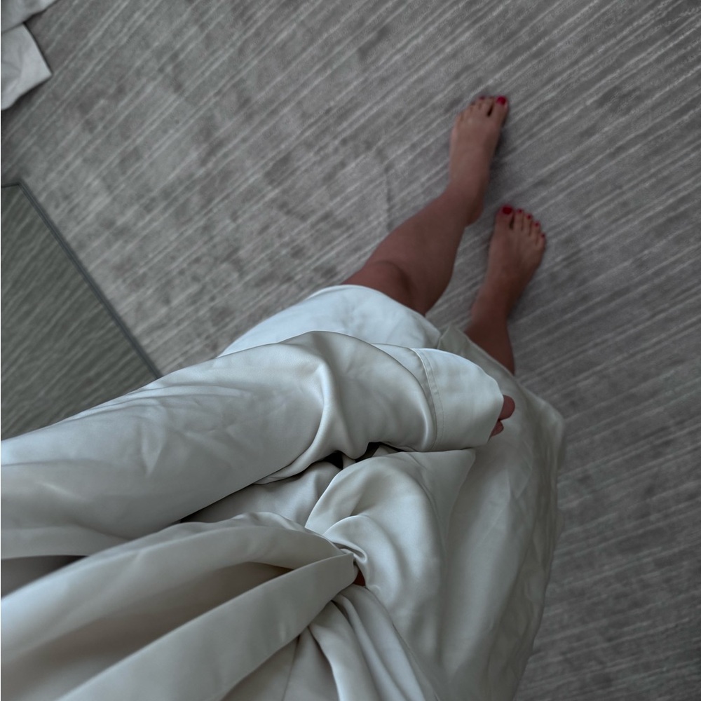 Aritzia Babaton hackney dress